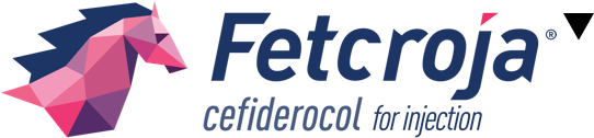 Fetcroja Logo